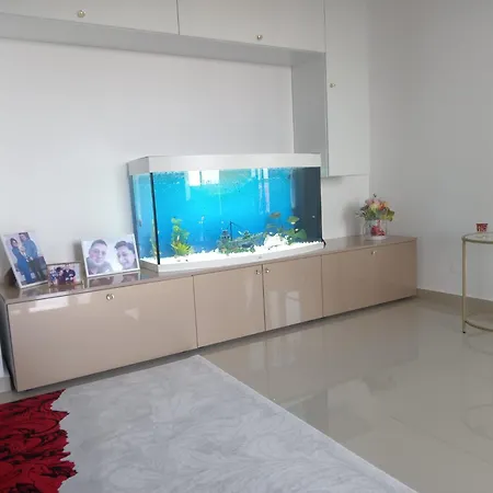 Perla Marii Penthouse アパート エフォリエ・ノルド